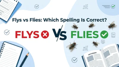 flys vs flies